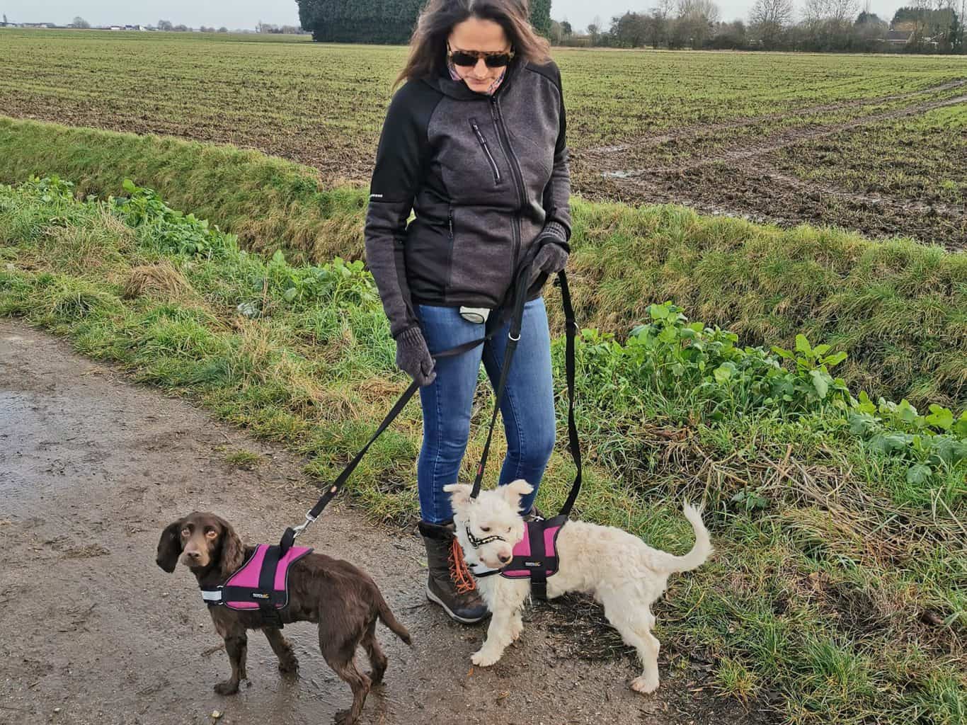 5 Winter Dog Walking Tips #ad 1