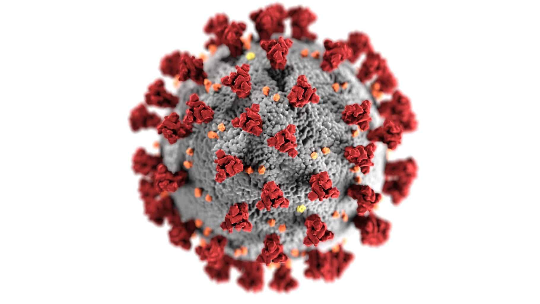 Worries around this flu season amidst the pandemic by Hani Zeini