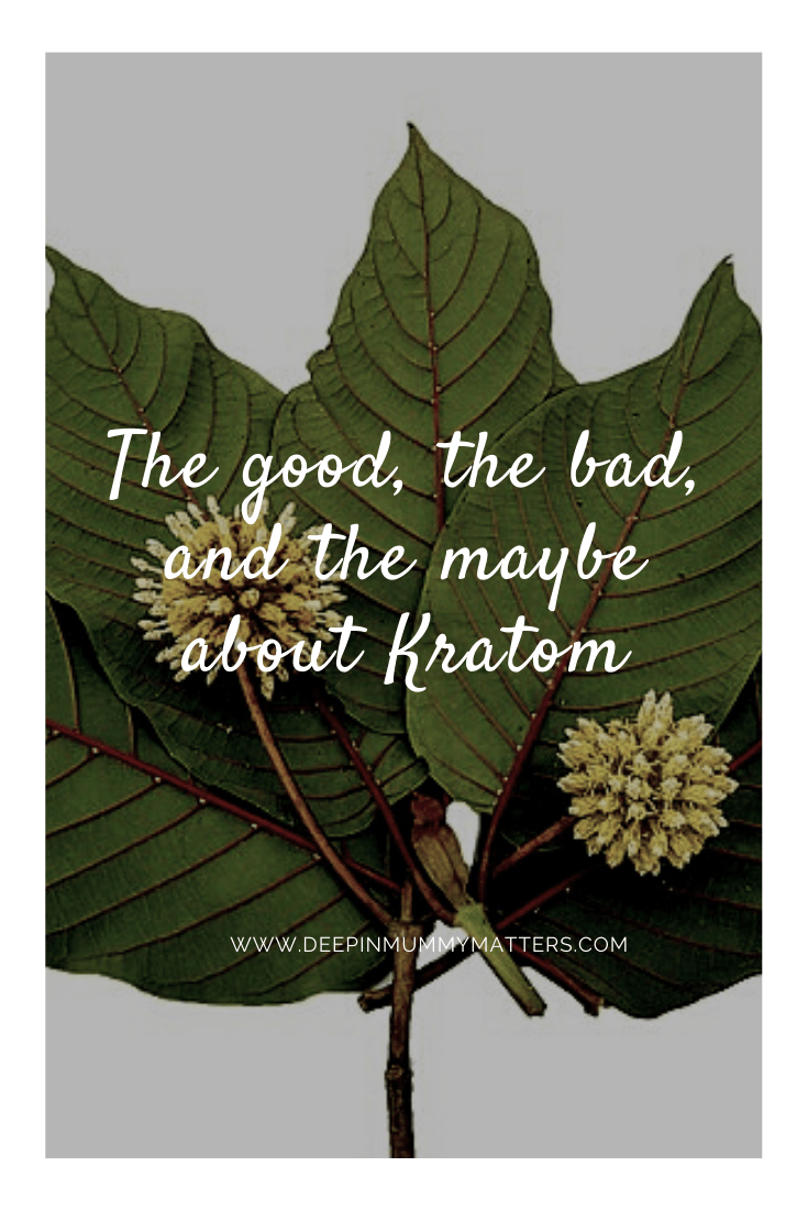 The Good, the Bad, and the Maybe About Kratom 1