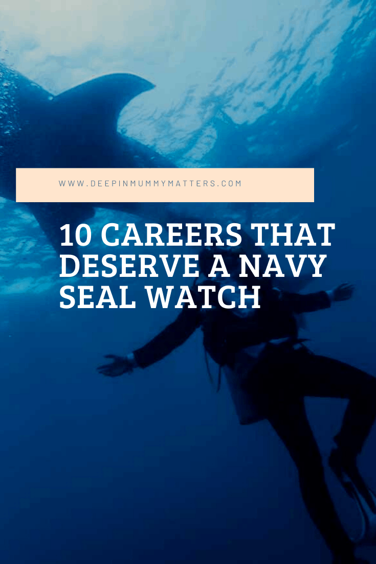 10 Careers That Deserve a Navy Seal Watch 1