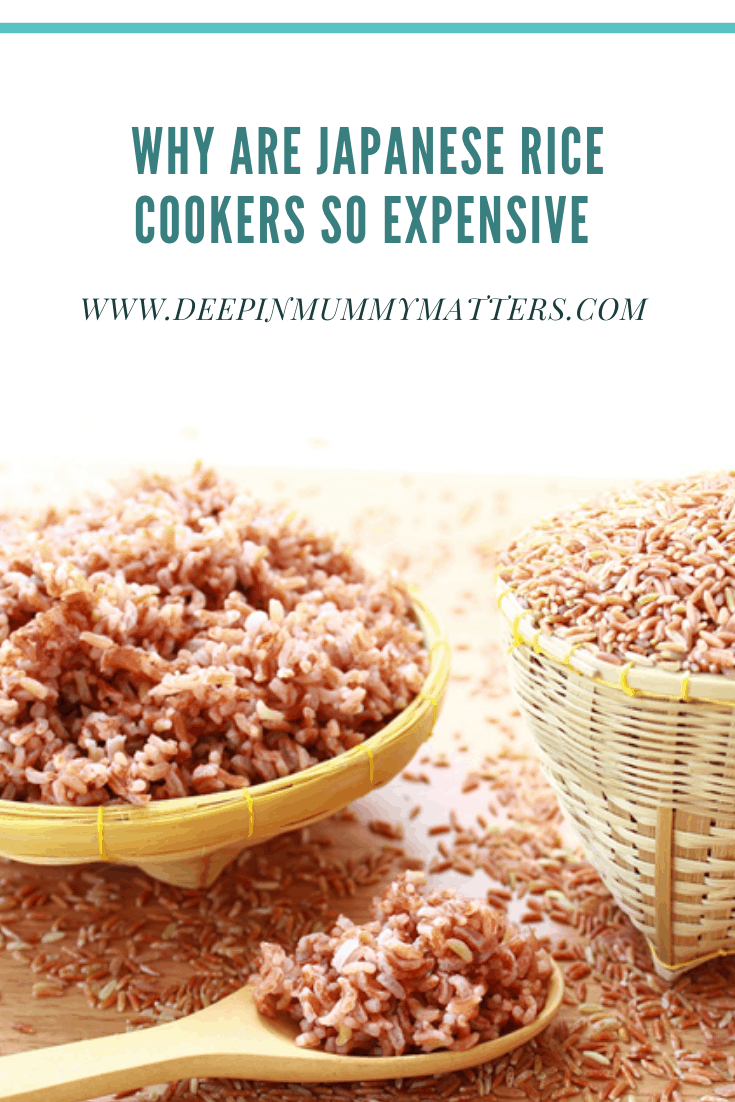 Why Are Japanese Rice Cookers So Expensive? 1
