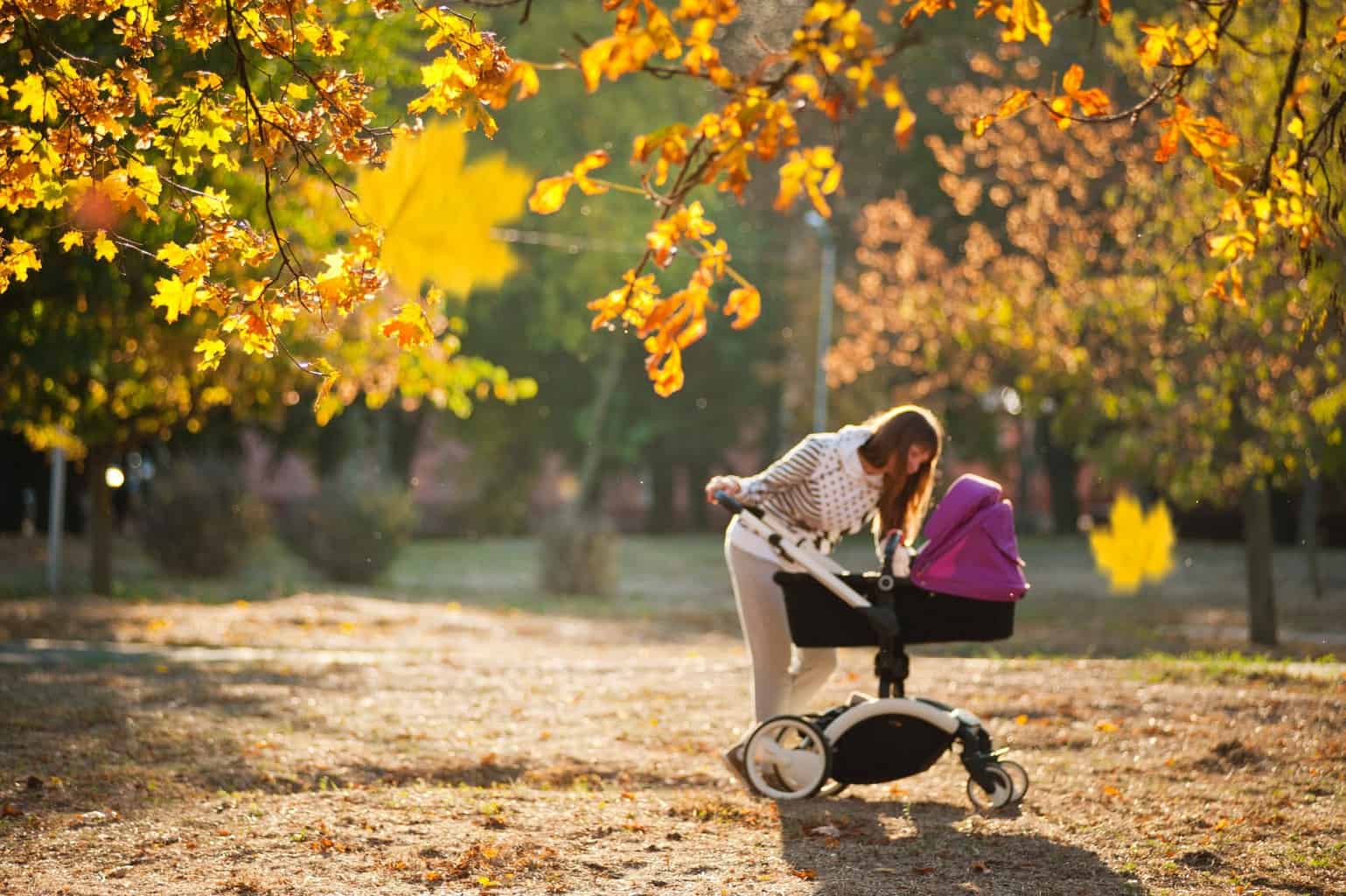 woman in grey pants holding black and purple stroller