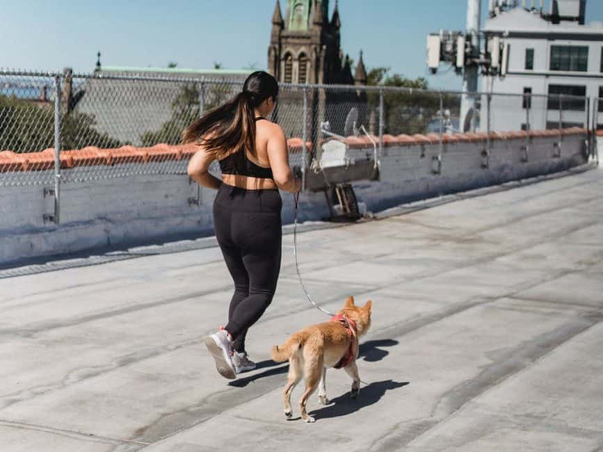 young woman running on bridge with dog