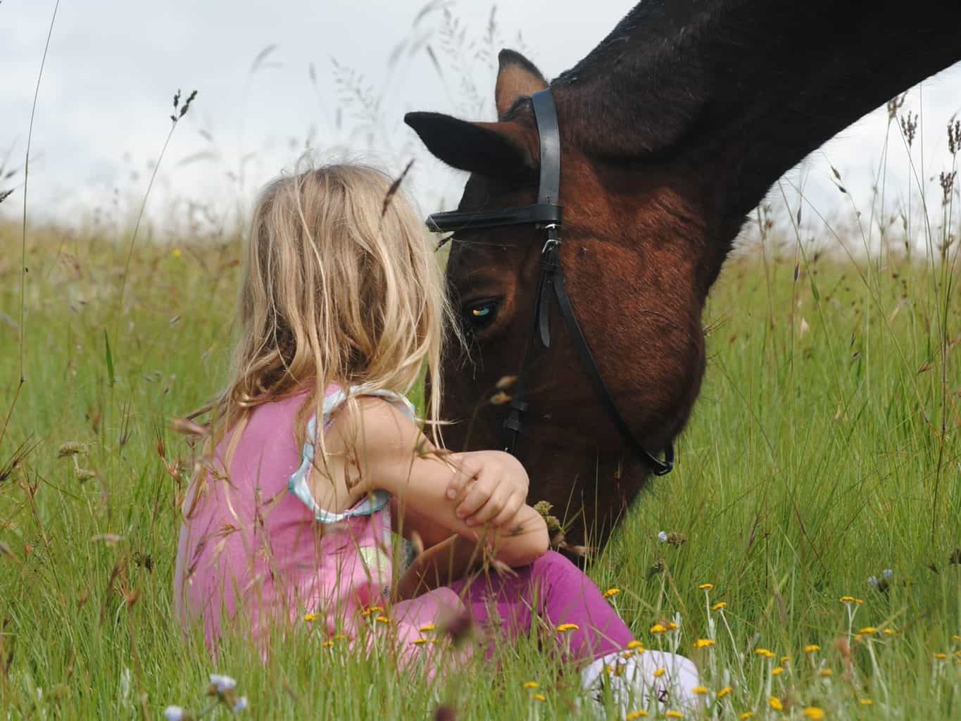 How To Help Your Child Become A Good Horse Owner 3