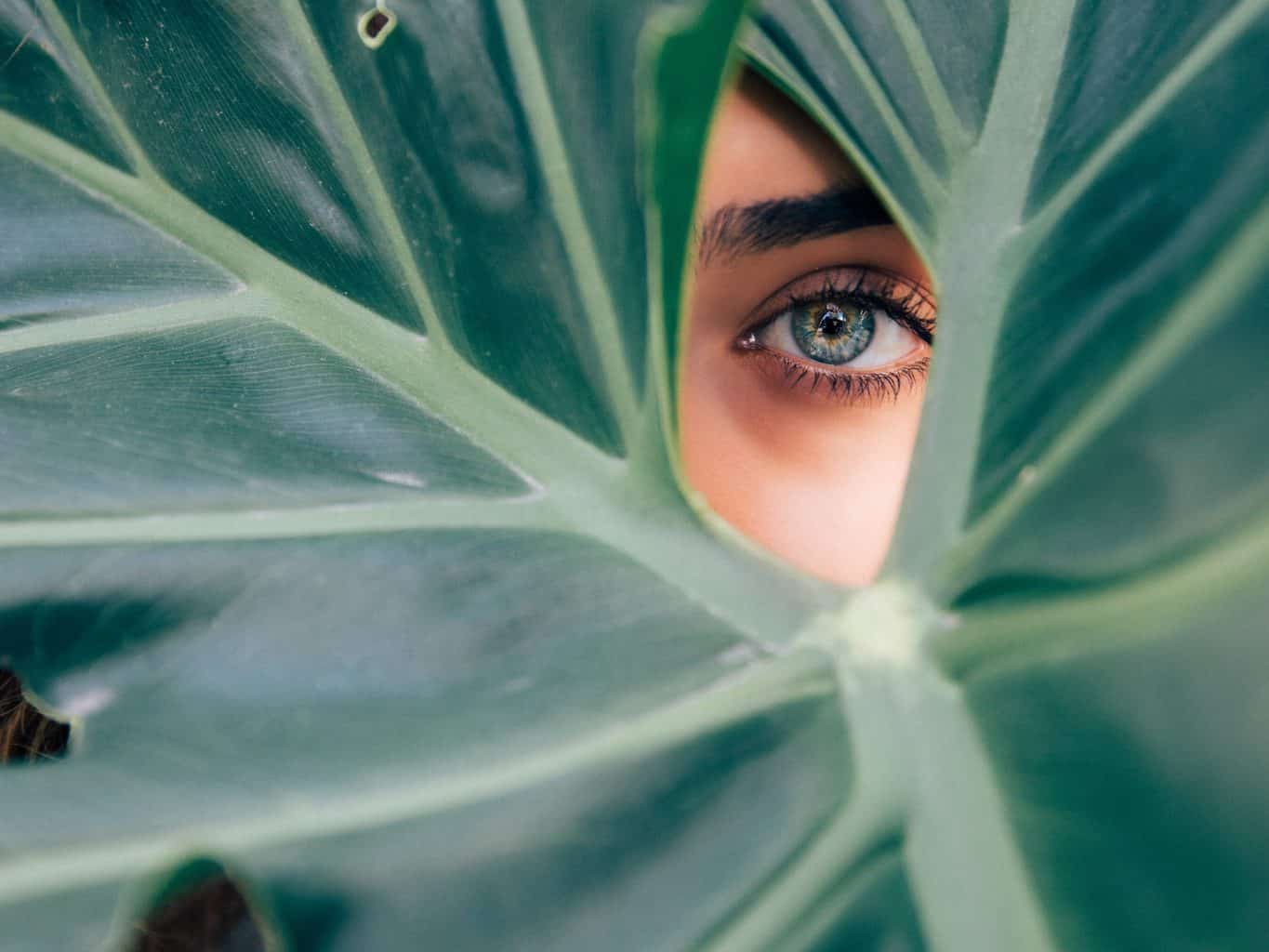 The Importance Of Owning A Beauty Fridge For Skincare