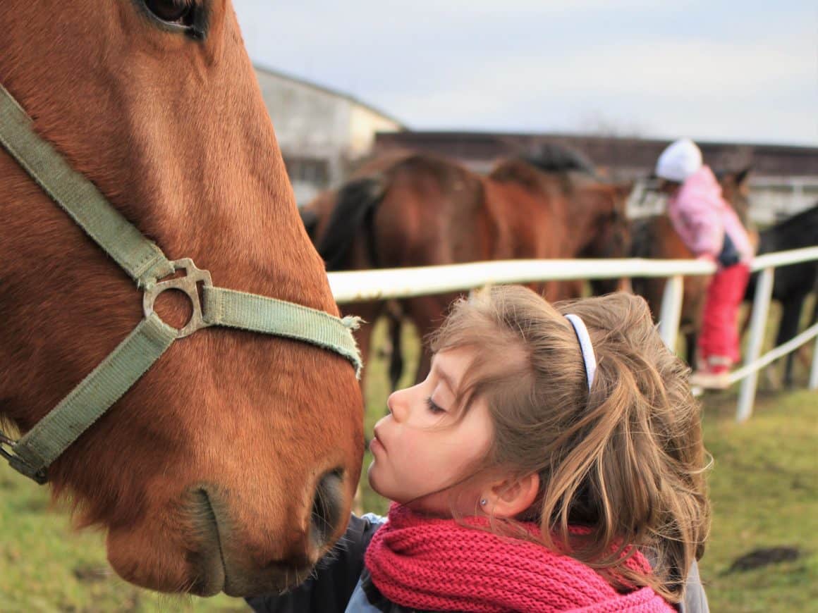 How To Help Your Child Become A Good Horse Owner