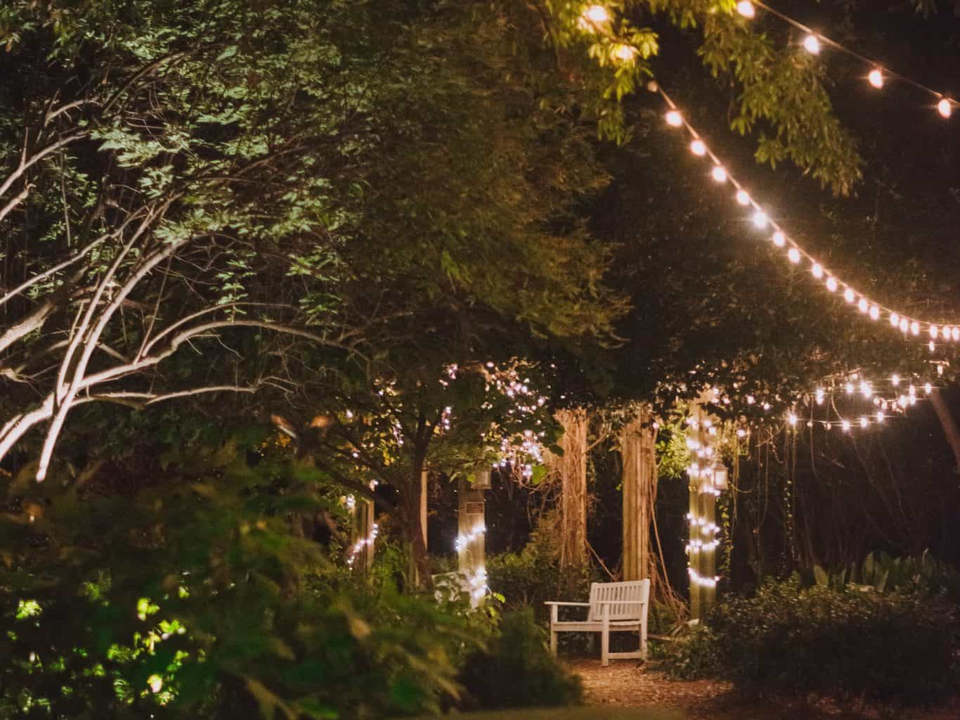 a bench and trees with lights