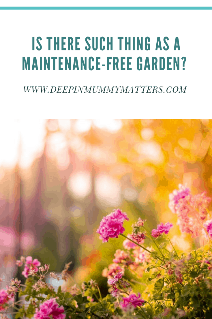 Is There Such A Thing As A Maintenance-Free Garden? 3