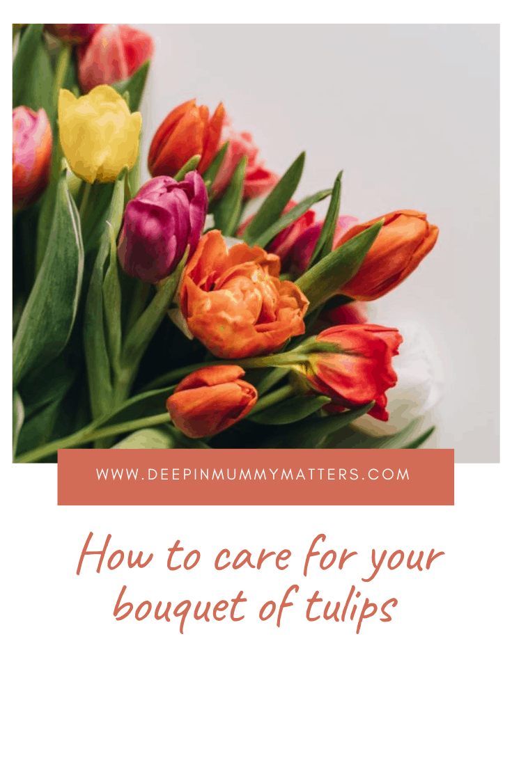 How to Care for Your Bouquet of Tulips 4