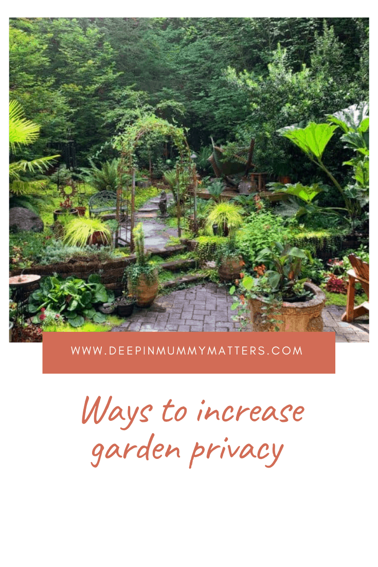 Ways to increase garden privacy 1