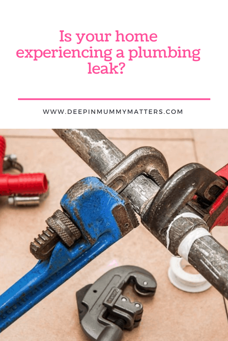 Is Your Home Experiencing A Plumbing Leak? 1