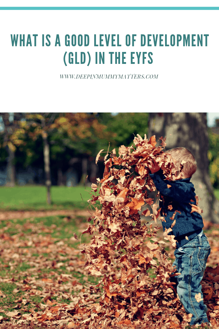 What is a Good Level of Development (GLD) in the EYFS 1