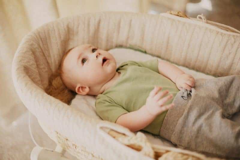 Top 3 Expensive & Modern Baby Bassinet in 2021 1