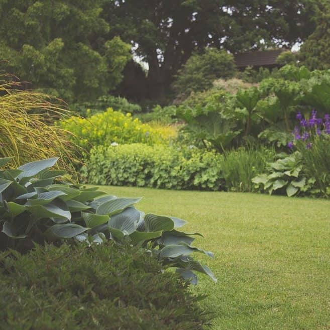Is there such a thing as a maintenance-free garden?
