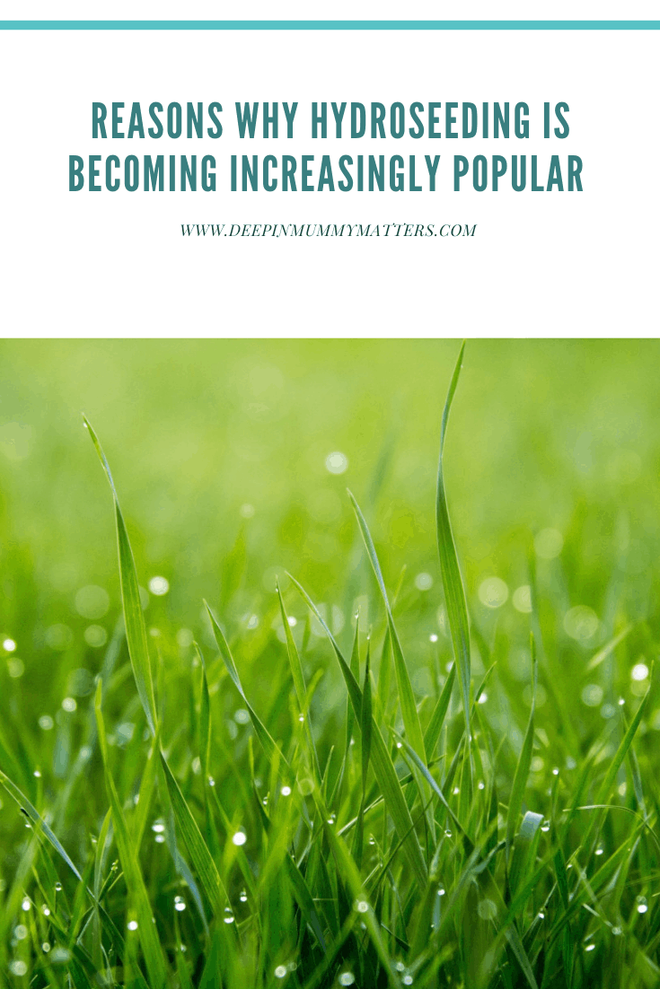 Reasons Why Hydroseeding is Becoming Increasingly Popular 1