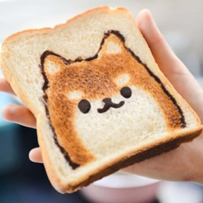 https://deepinmummymatters.com/wp-content/uploads/2021/06/Toast-FI-800x800.jpg