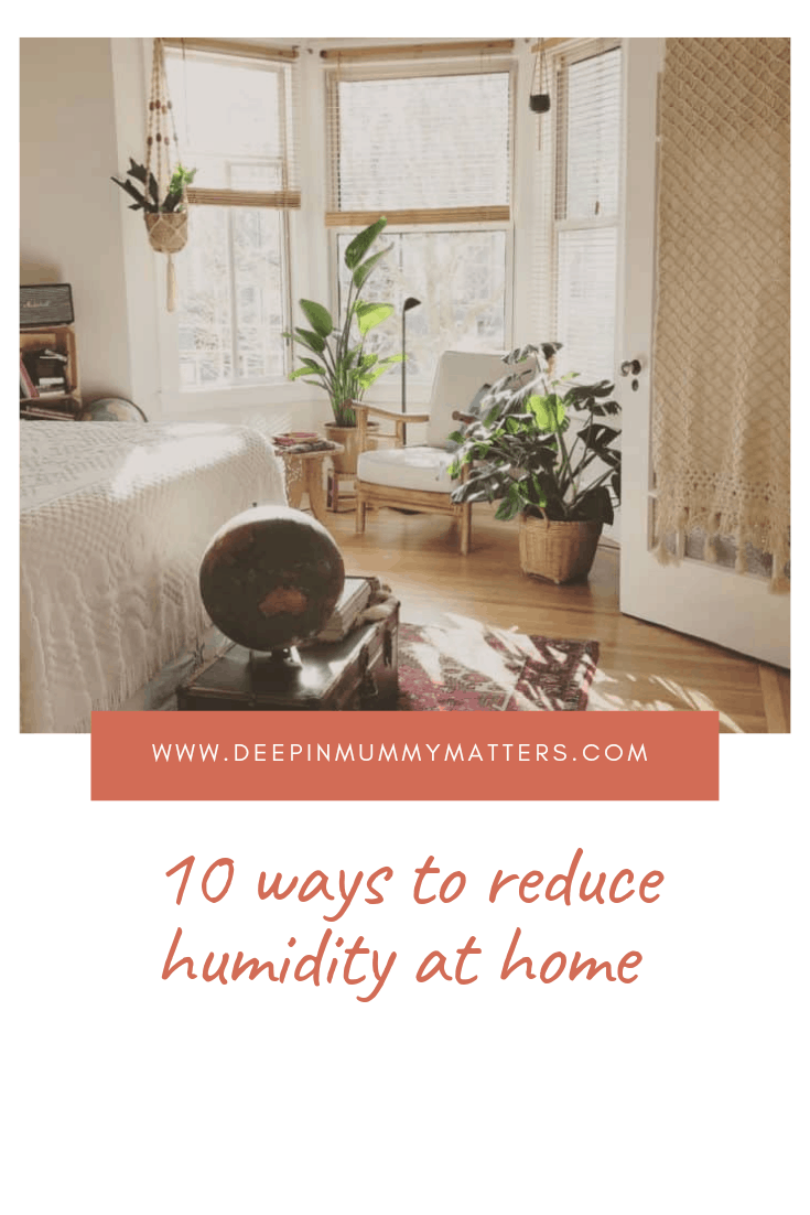 10 Ways to Reduce Humidity at Home 2