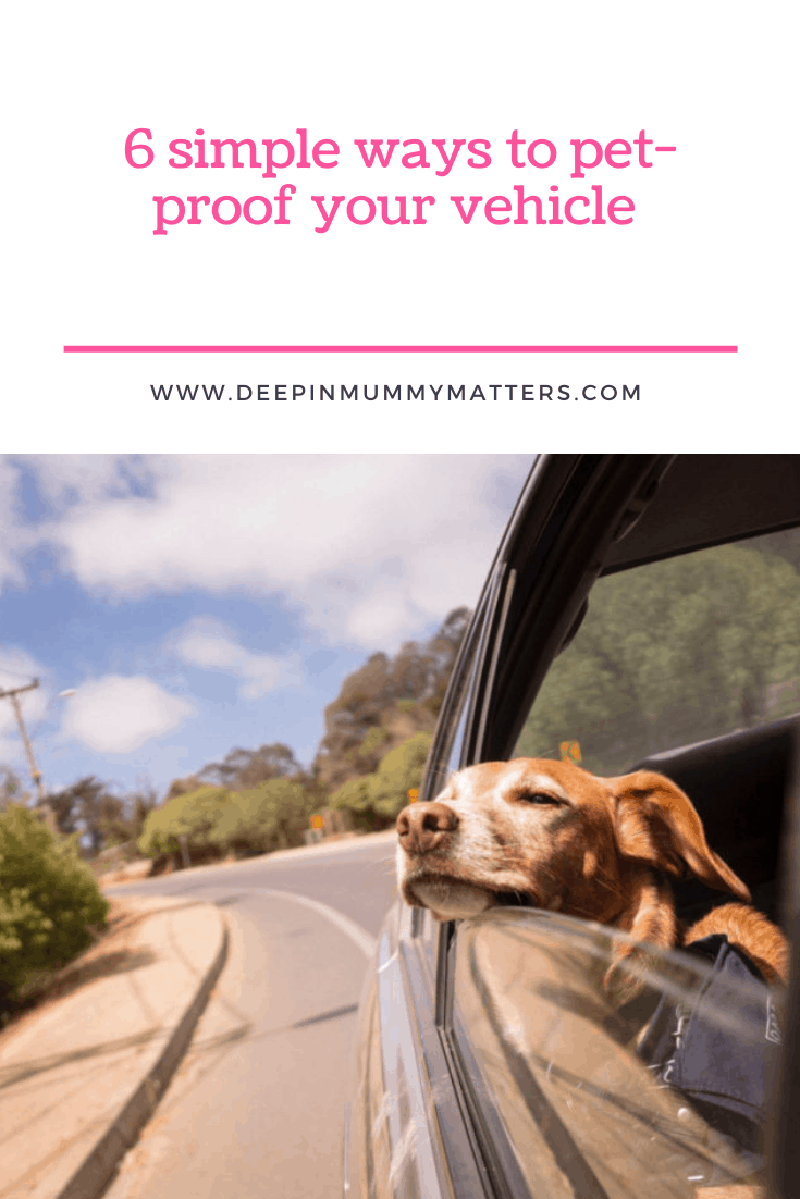 6 Simple Ways to Pet-Proof Your Vehicle 1