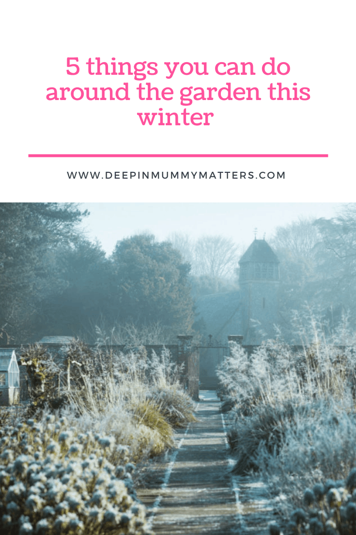 5 Things You Can Do Around the Garden This Winter 1