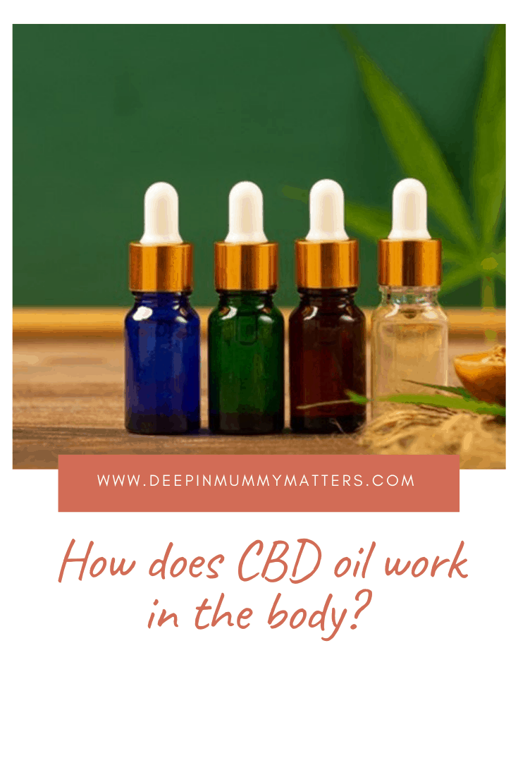 How Does CBD Oil Work In the Body? 1