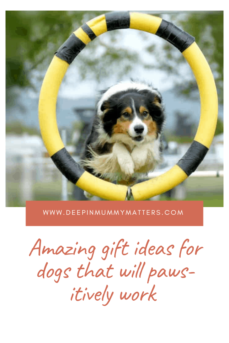 Amazing Gift Ideas for Dogs That Will Paws-itively Work Like A Charm 1
