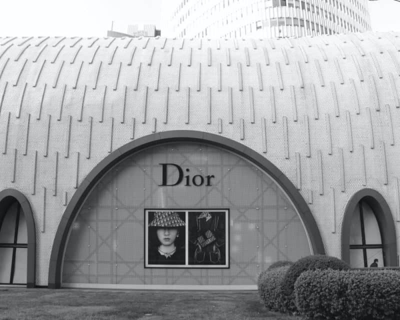 The History Of Dior| How Dior Became So Famous