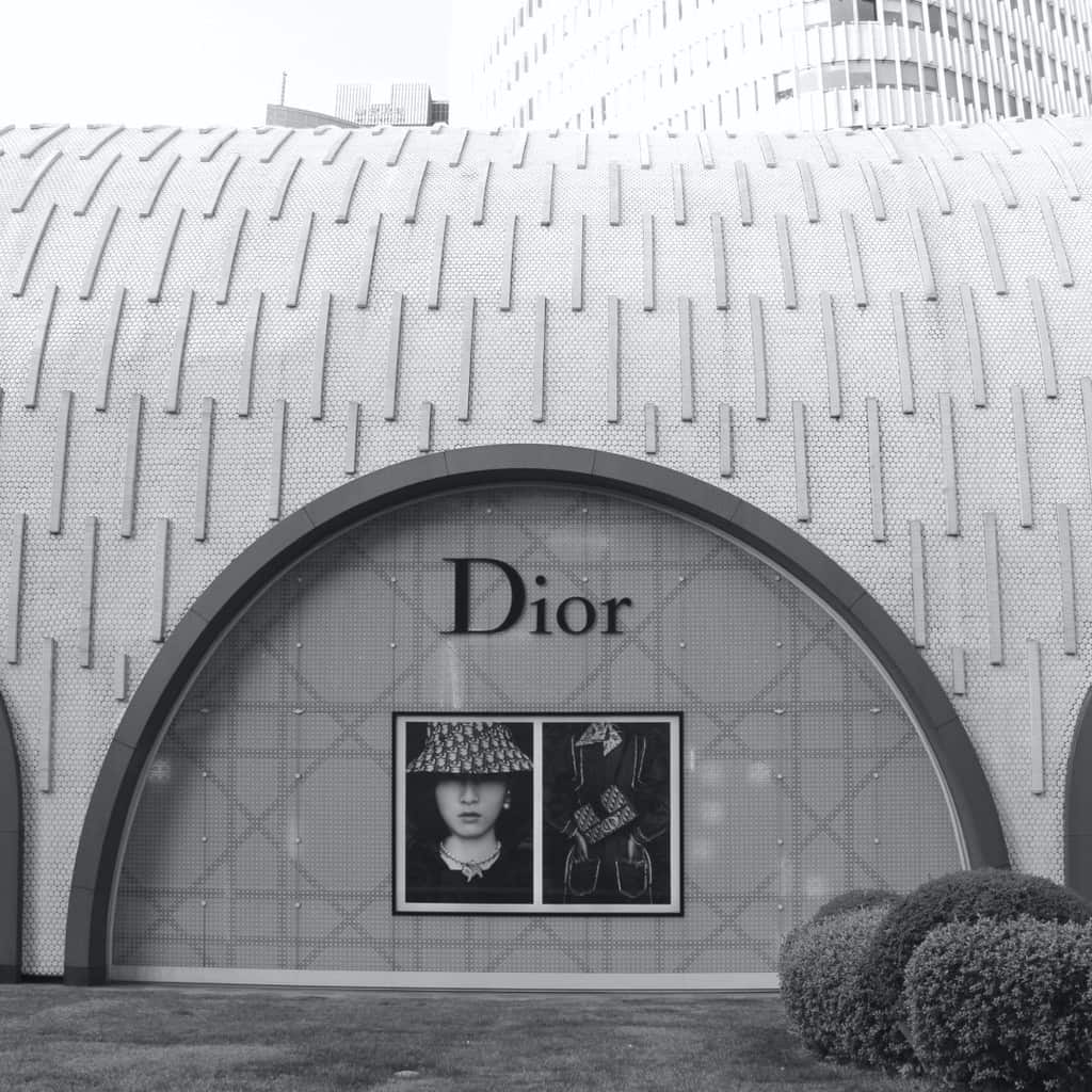The History Of Dior| How Dior Became So Famous