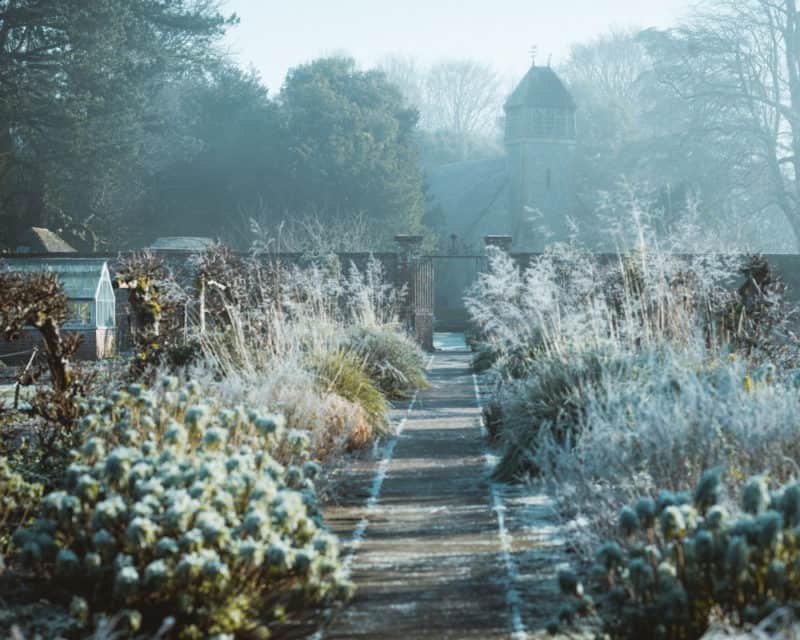 5 Things You Can Do Around the Garden This Winter