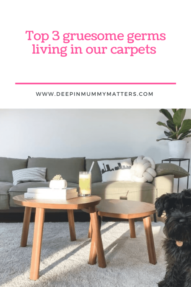Top 3 gruesome germs living in our carpets Mummy Matters