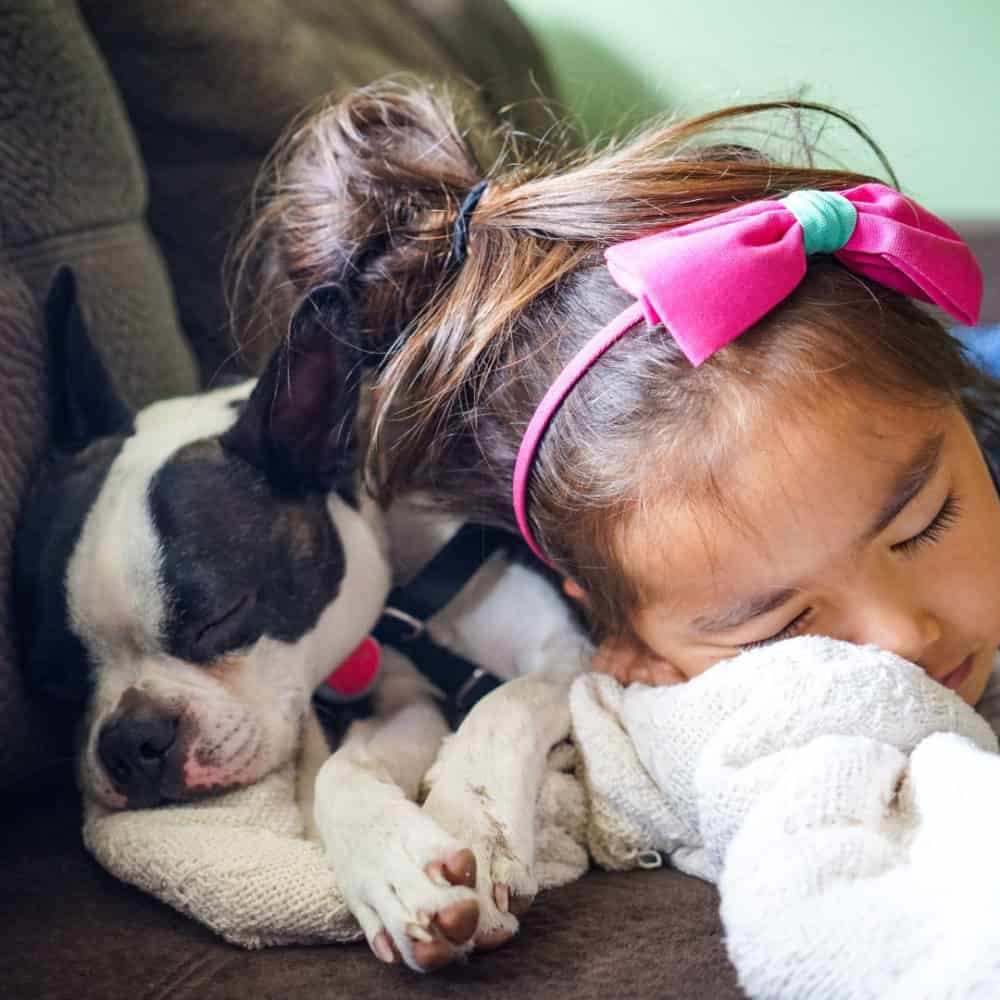 Buying Your Kid's First Pet: What to Consider