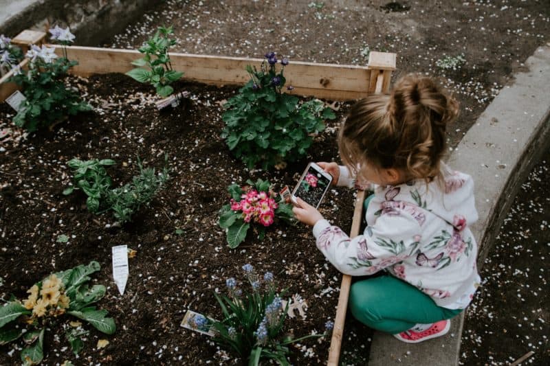 Childproofing Your Backyard 101 1