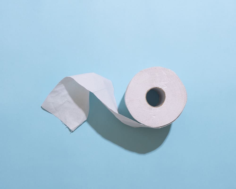 Who Invented Toilet Paper? Mummy Matters Parenting and Lifestyle