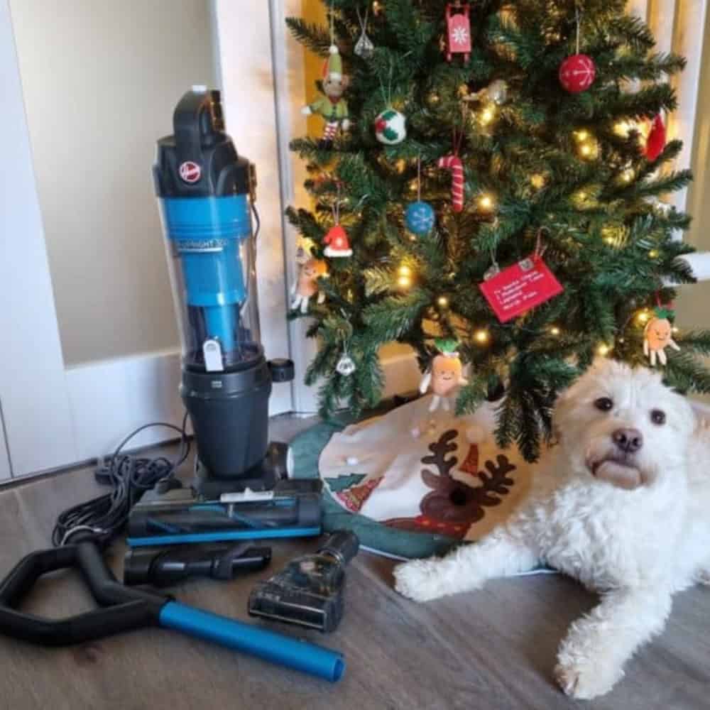 Hoover Upright 300 Pets