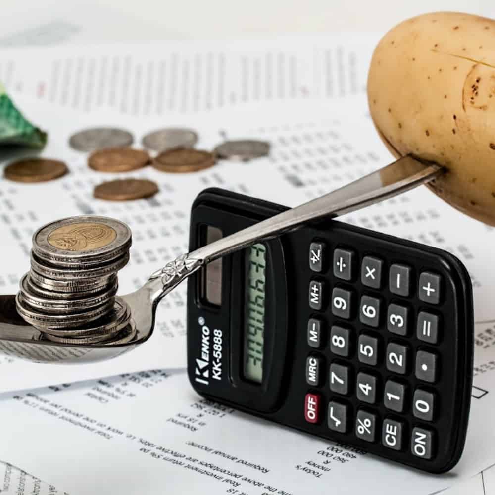 Properly Calculate Your Family Budget
