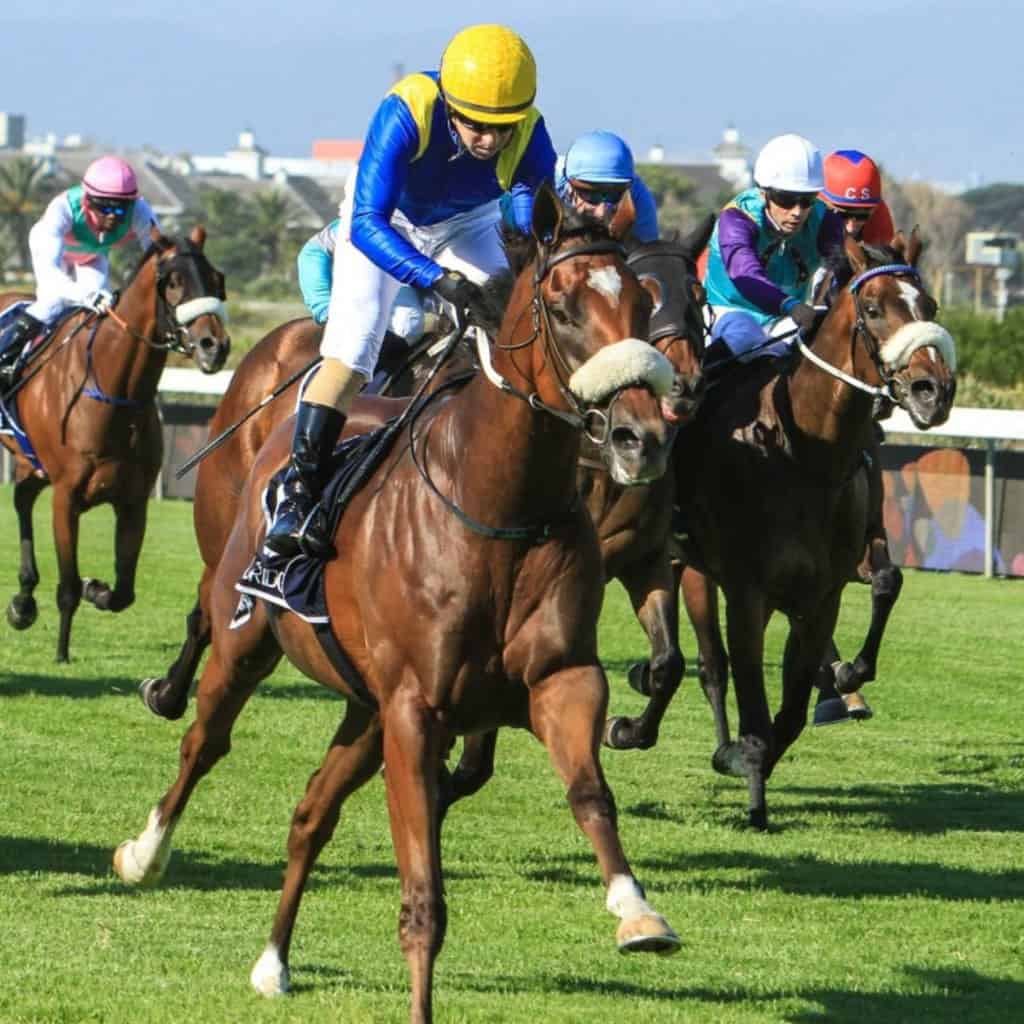 3 Smartest Horse Race Betting Strategies