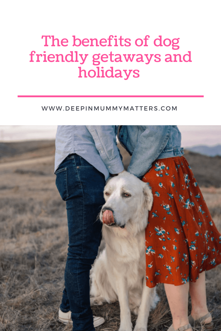 The Benefits of Dog Friendly Getaways and Holidays 1
