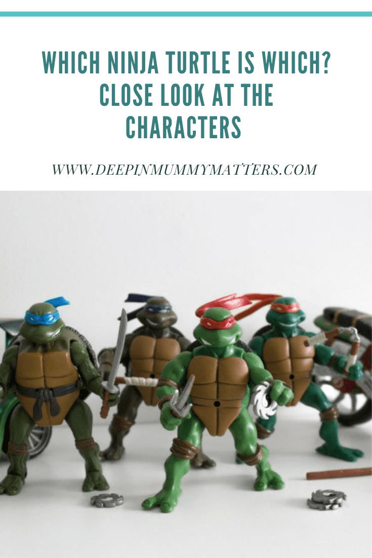 Which Ninja Turtle Is Which? A Close Look At The Characters 1