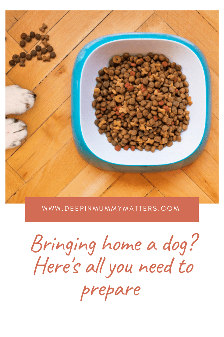 Bringing Home A Dog? Here's All You Need To Prepare 2
