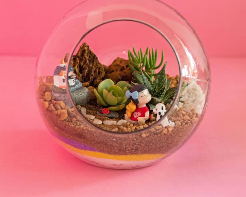 terrarium