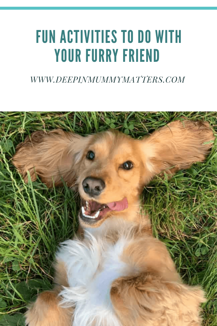 Fun Activities to Do with Your Furry Friend 1