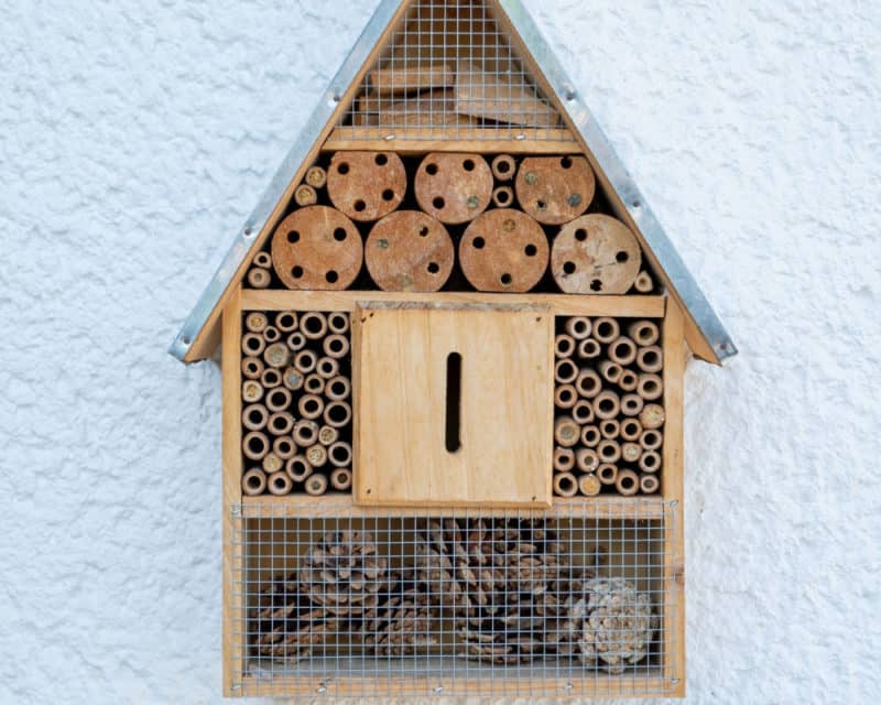 Bug hotel