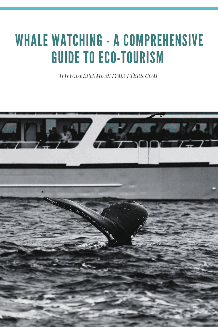Whale Watching_ A Comprehensive Guide To Eco-Tourism 2