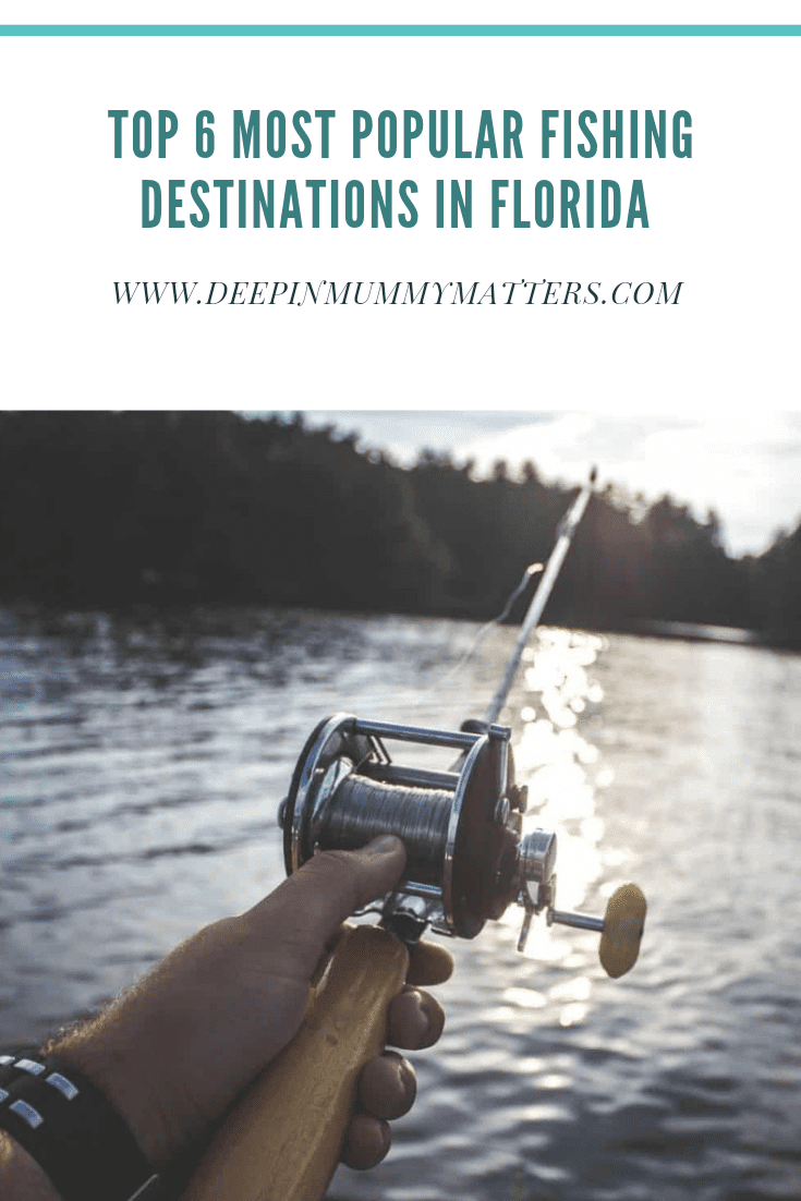 Top 6 Most Popular Fishing Destinations in Florida 1