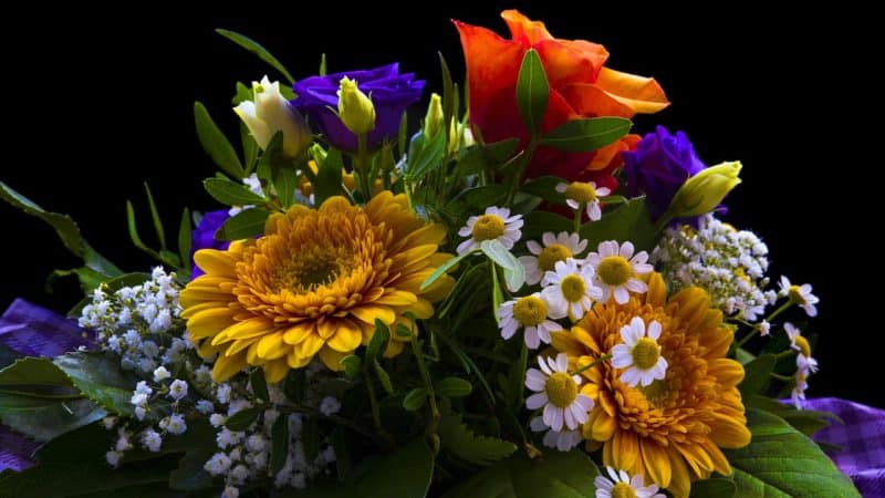 Why Flowers Are Always a Great Gift