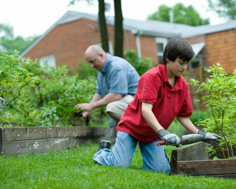 How to get your children involved with gardening