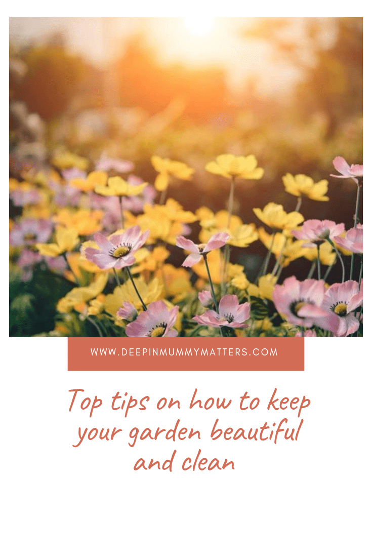 Top Tips on How to Keep Your Garden Beautiful and Clean 1