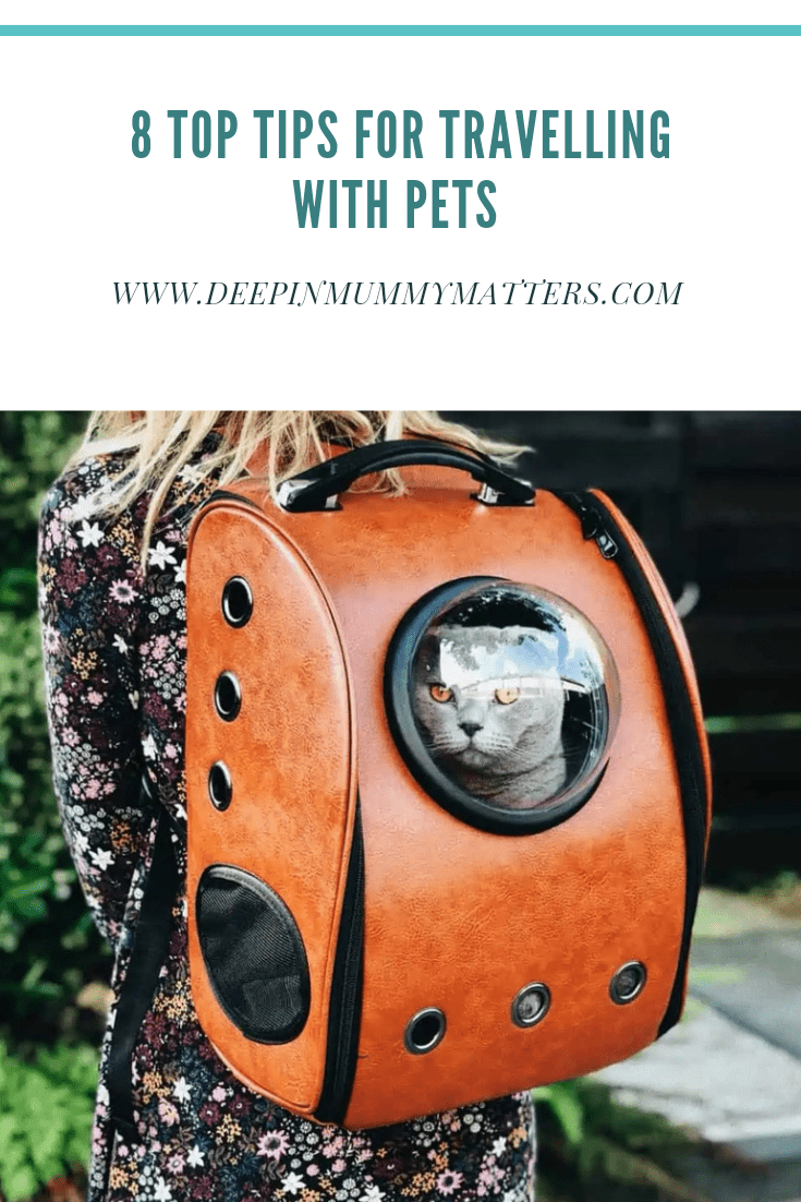 8 Top Tips for Travelling with Pets 1