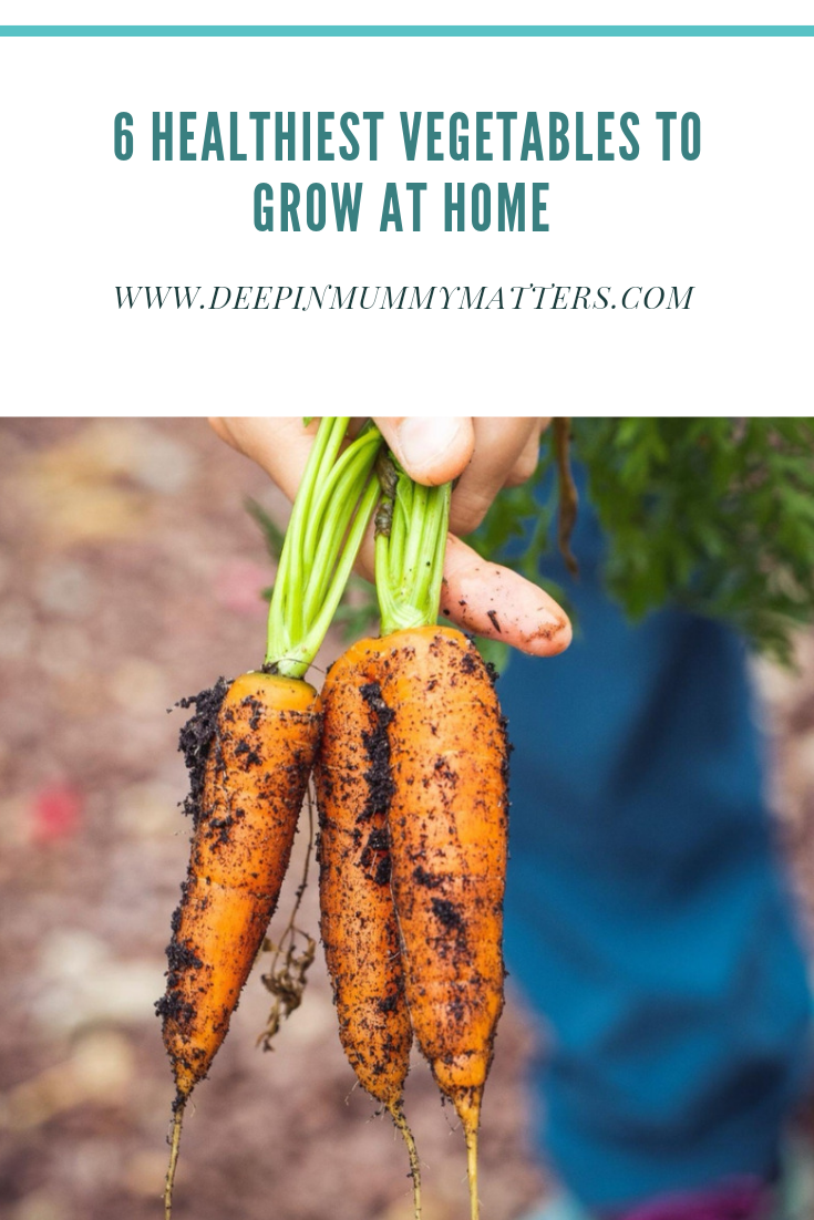 6 Healthiest Vegetables to Grow at Home 1