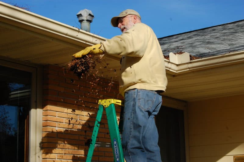 gutter cleaning