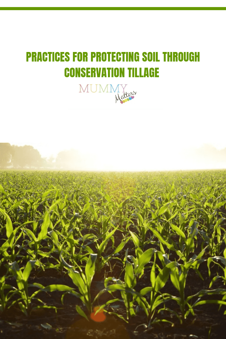 Practices For Protecting Soil Through Conservation Tillage 1